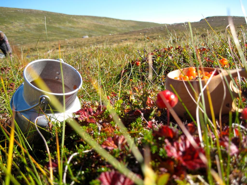 Norefjell - Storhytte Med Jacuzzi Og Fantastisk Beliggenhet Noresund المظهر الخارجي الصورة