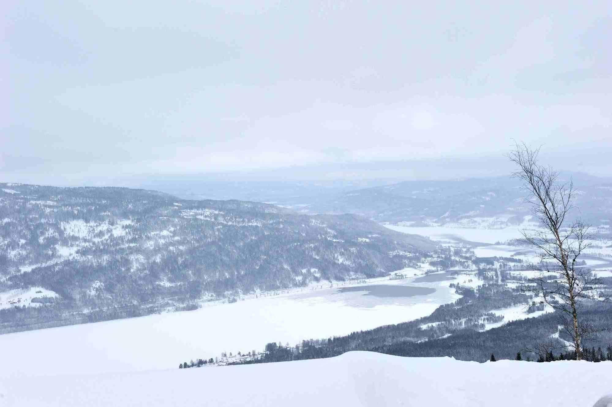 Norefjell - Storhytte Med Jacuzzi Og Fantastisk Beliggenhet Noresund المظهر الخارجي الصورة