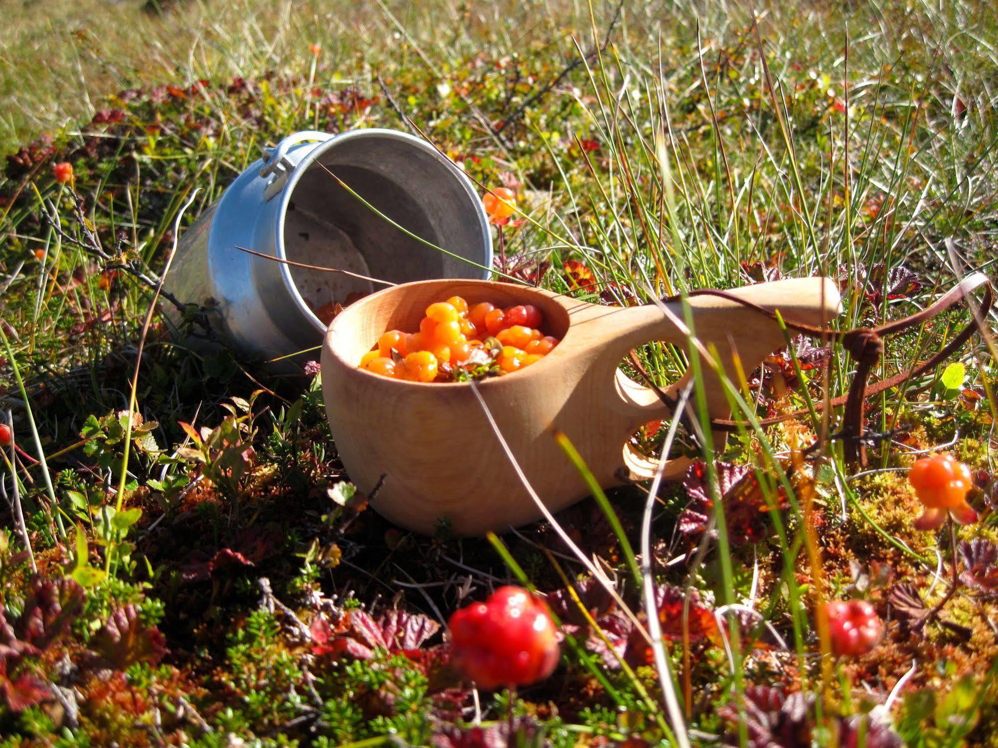 Norefjell - Storhytte Med Jacuzzi Og Fantastisk Beliggenhet Noresund المظهر الخارجي الصورة